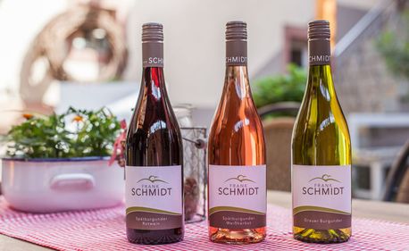 Weingut Frank Schmidt Eichstetten - Weinprobe